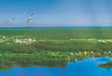 КУРС<br>НА МОСКВУ